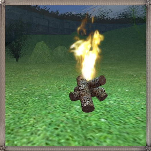camp fire
