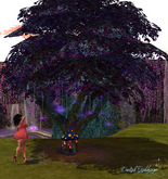 Breezy Black Light Tree Wide w/ Funky Shroom