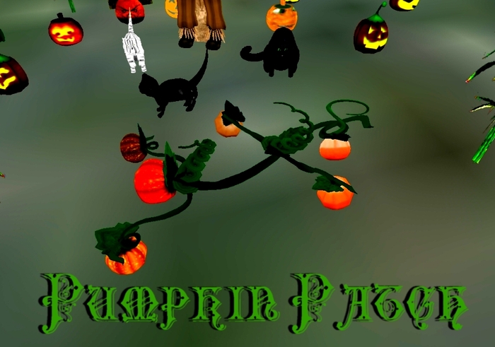 Pumpkin Patch - Copiable