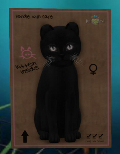 Russian - Black Odyssey Bellin