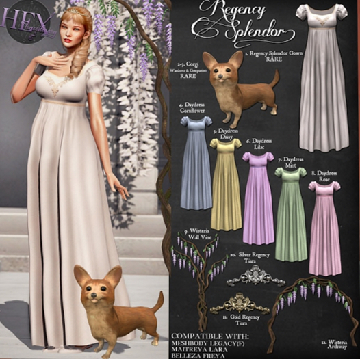 2. HEXtraordinary - Corgi - Wanderer - RARE