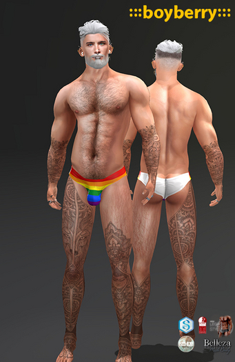 boyberry Pride Brief 2201