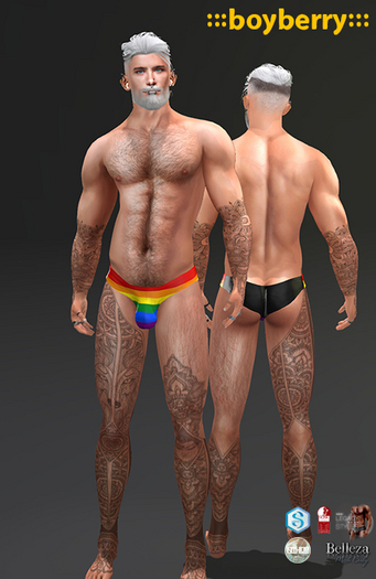boyberry Pride Brief 2202