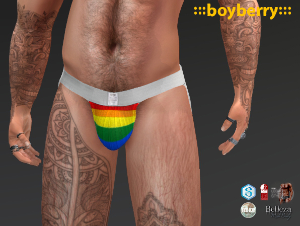 boyberry Pride Jock 2201