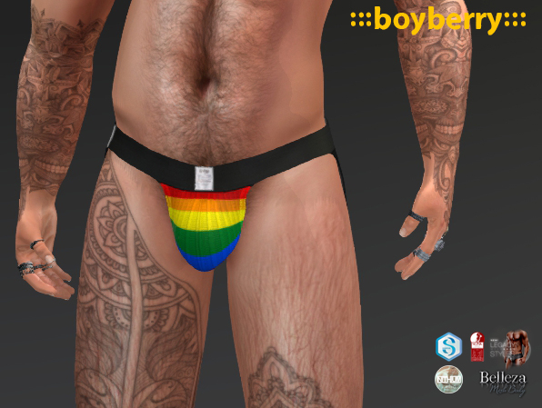 boyberry Pride Jock 2202