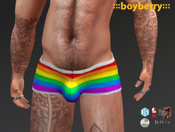 boyberry Pride Trunks 2201