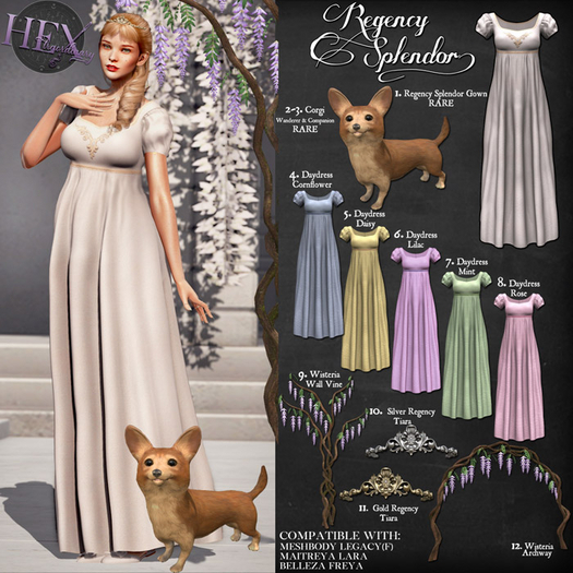 2. HEXtraordinary - Corgi - Wanderer - RARE
