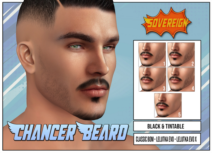 Aardvark : Chancer Beard Set Evo/Evo X/Classic BOM 