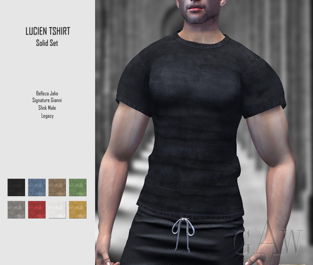 GAW Lucien Tshirt Solid Set FATPACK