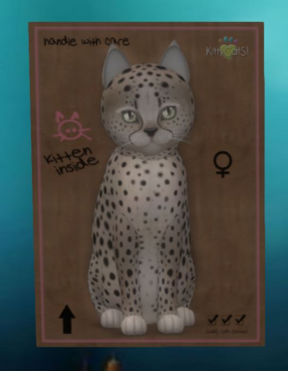 Cheetah! - Washed Blue Mink