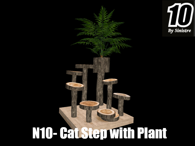 Cat Step with Plant