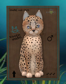Cheetah! - Au Natural