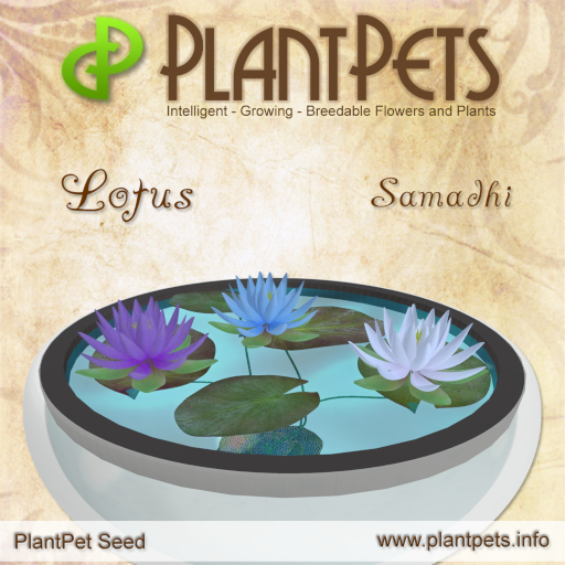 PlantPet Seed [Lotus *Samadhi*] Updated