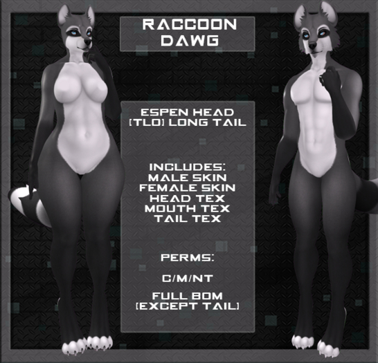 MonCafe - Raccoon Dawg