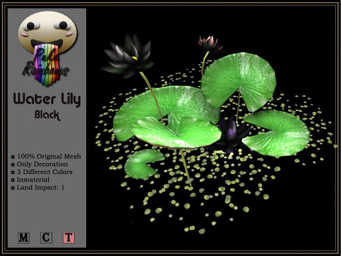 [PR] Water Lily - Black (Boxed)