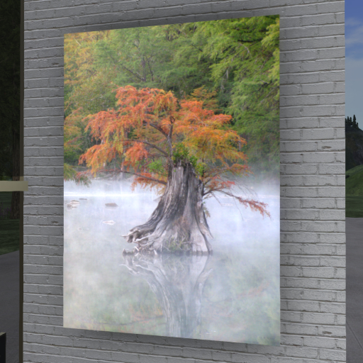  NEW ➛ PROMO ➛ Modern Wall Art (Another Season Turns) - Beautiful Tree Sapling in Autumn - Mesh C/M (Wear to Unpack) 