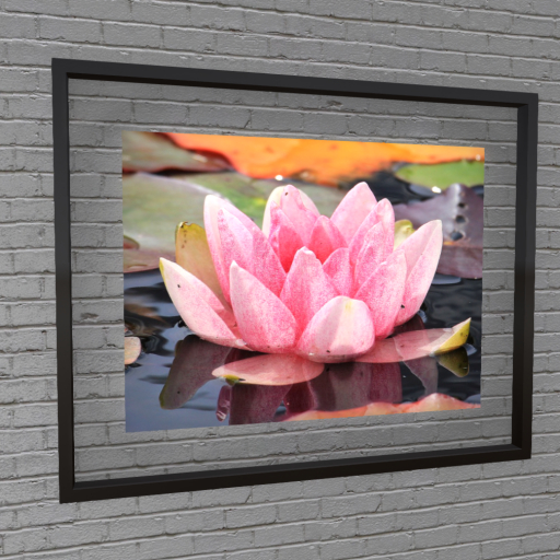 PROMO ➛ Wall Art - Water Lily in Float Frame (Oiled Bronze) - Mesh - C/M (Wear to Unpack)