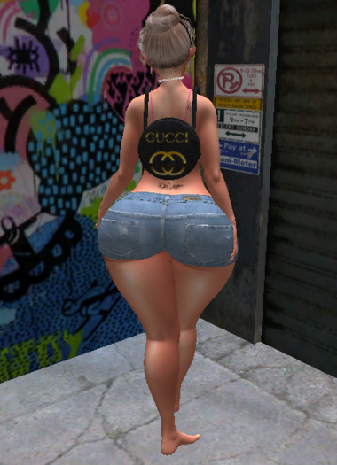 *S* Double G BackPack Purse