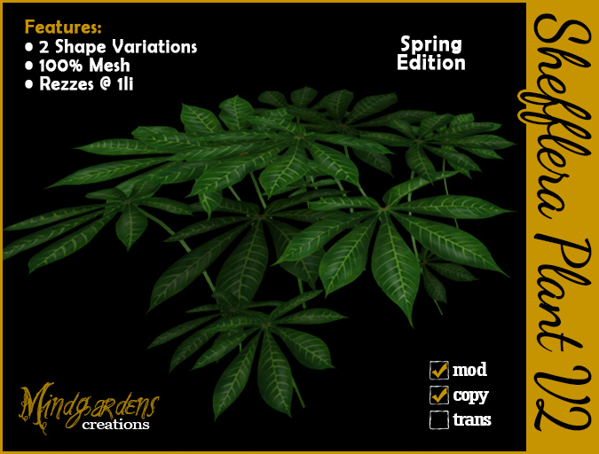 MG - Schefflera Veiny Plant v2