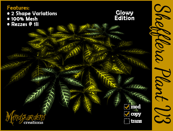 MG - Schefflera Glowy Plant v3