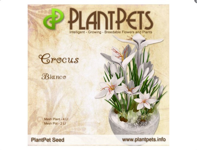 PlantPet Seed [Crocus *Bianco*]