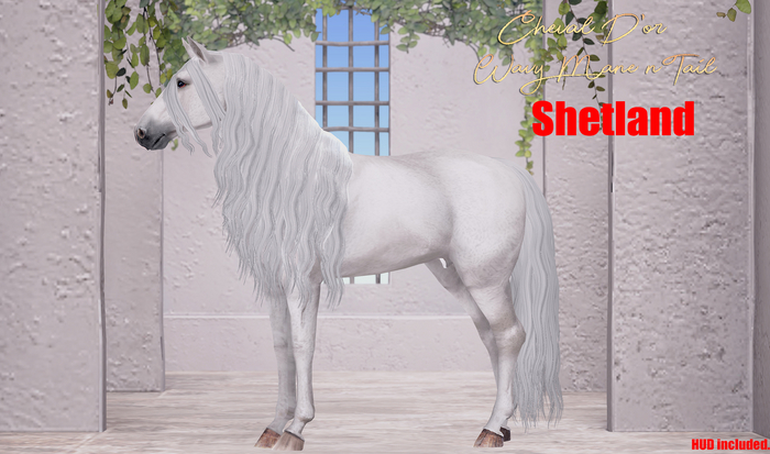 Cheval D'or / TeeglePet Shetland / Wavy Mane & Tail. [HUD]