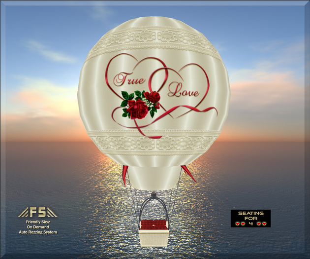 Hot Air Balloon ~ #W600