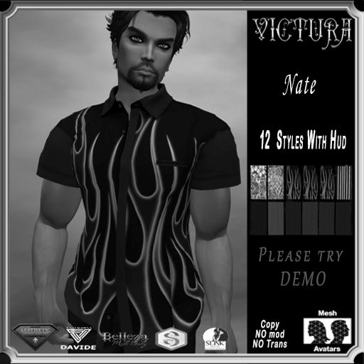 DEMO  Nate Shirt  12 design  BOX  VICTURA