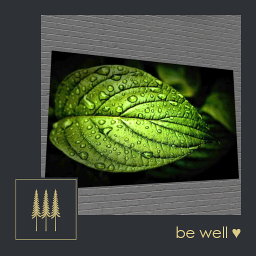 NEW ➛ PROMO ➛ Modern Wall Art (Dewy Leaf), Striking Close-up of a Leaf Covered in Dew - Mesh C/M (Wear to Unpack) 