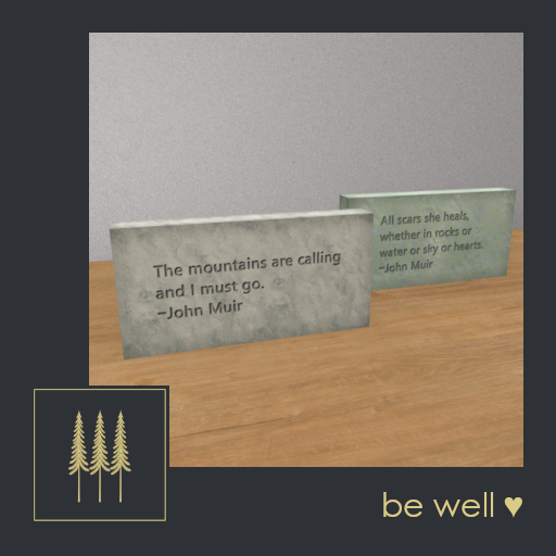 NEW ➛ John Muir Inscription Stones - Inspiring Yosemite Nature Quotes, Etched Marble Slabs - Mesh C/M (Wear to Unpack)