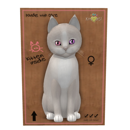 KittyCatS Box - New Born Kitten