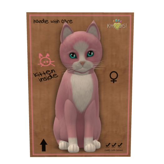 KittyCatS Box - New Born Kitten