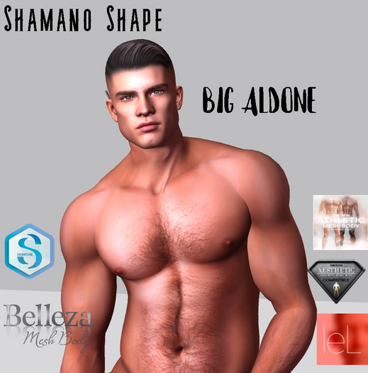 BIG ALDONE  SIZE X3