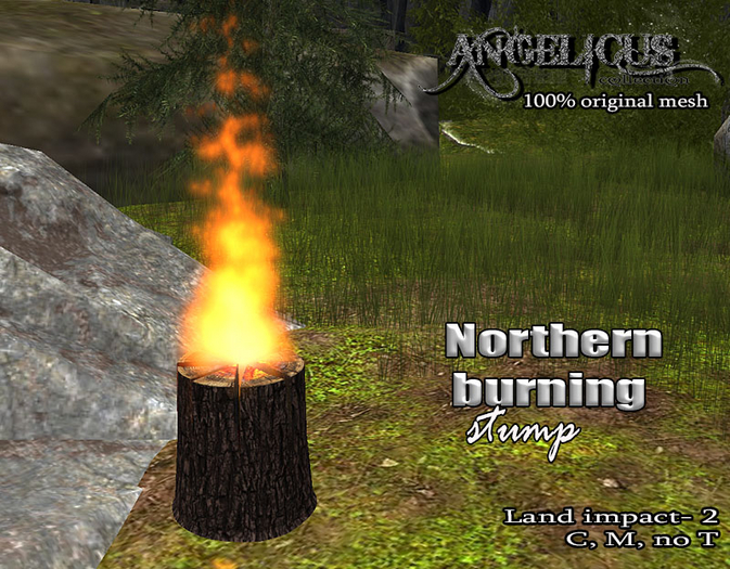 ::ANGELICUS:: Northern burning stump