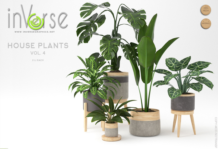 ☰ inVerse ☰ House plant set vol.4 