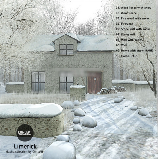 Concept} *09. Limerick. Home with snow. RARE