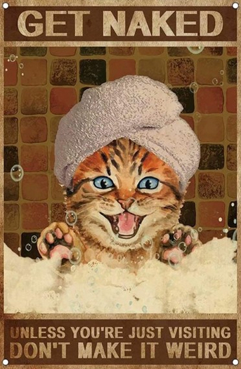 Cat Sign-Don't Make it Weird
