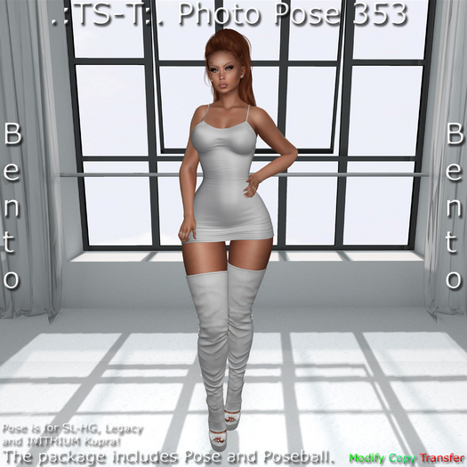 .:TS-T:. Photo Pose 353 Bento
