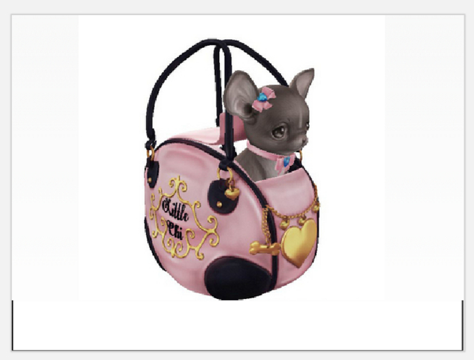 Birdy - Little Chi - In a Bag - Grey