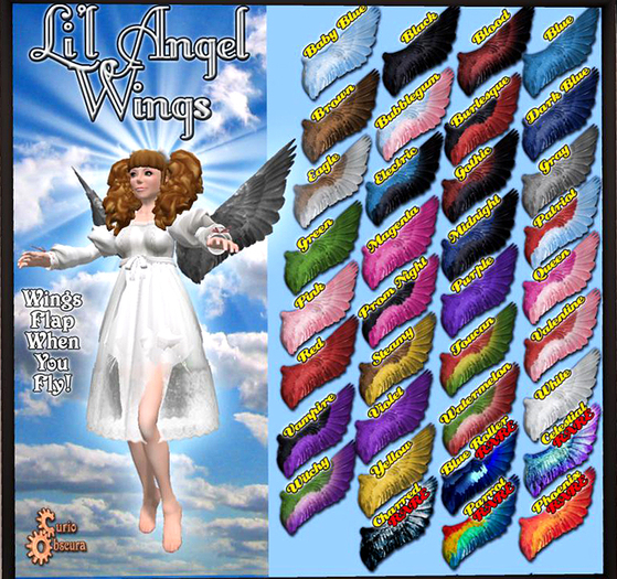 Curio Obscura - Li'l Angel Wings Parrot Rare