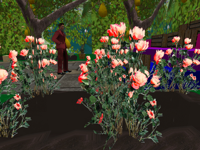 FLOWERS dark orenge