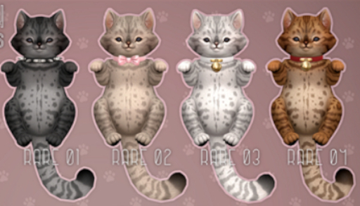 .STOIC. CHONKY BB's BENGAL ORANGE 04 RARE