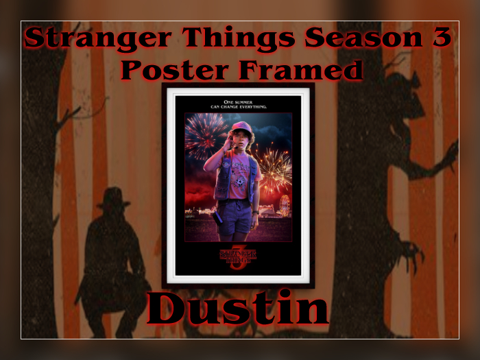 Stranger Things - Dustin  BOX