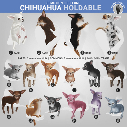 1. SEmotion Libellune Chichuachua Holdable RARE