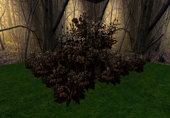 rose bush gothic bronze3 huge