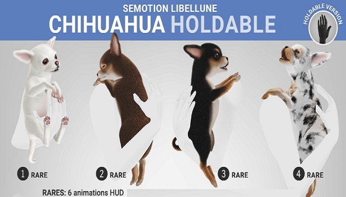 4. SEmotion Libellune Chichuachua Holdable RARE