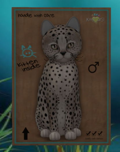 Cheetah! - Washed Blue Mink