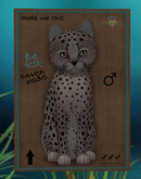 Cheetah! - Washed Blue Mink