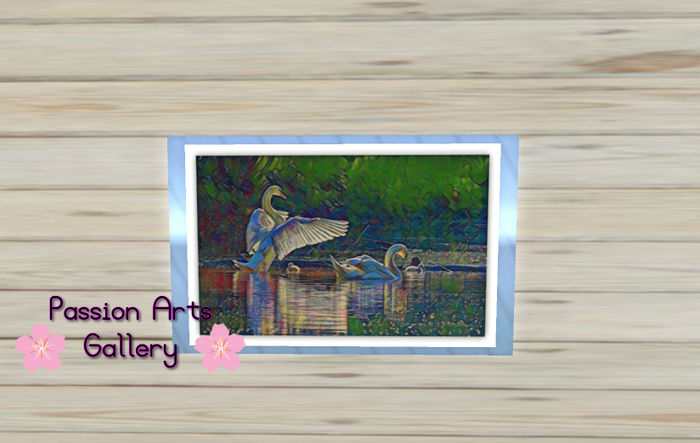 PASSION ARTS GALLERY - Swan