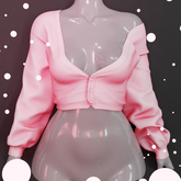 Palette - Arielle Top [Salmon]
